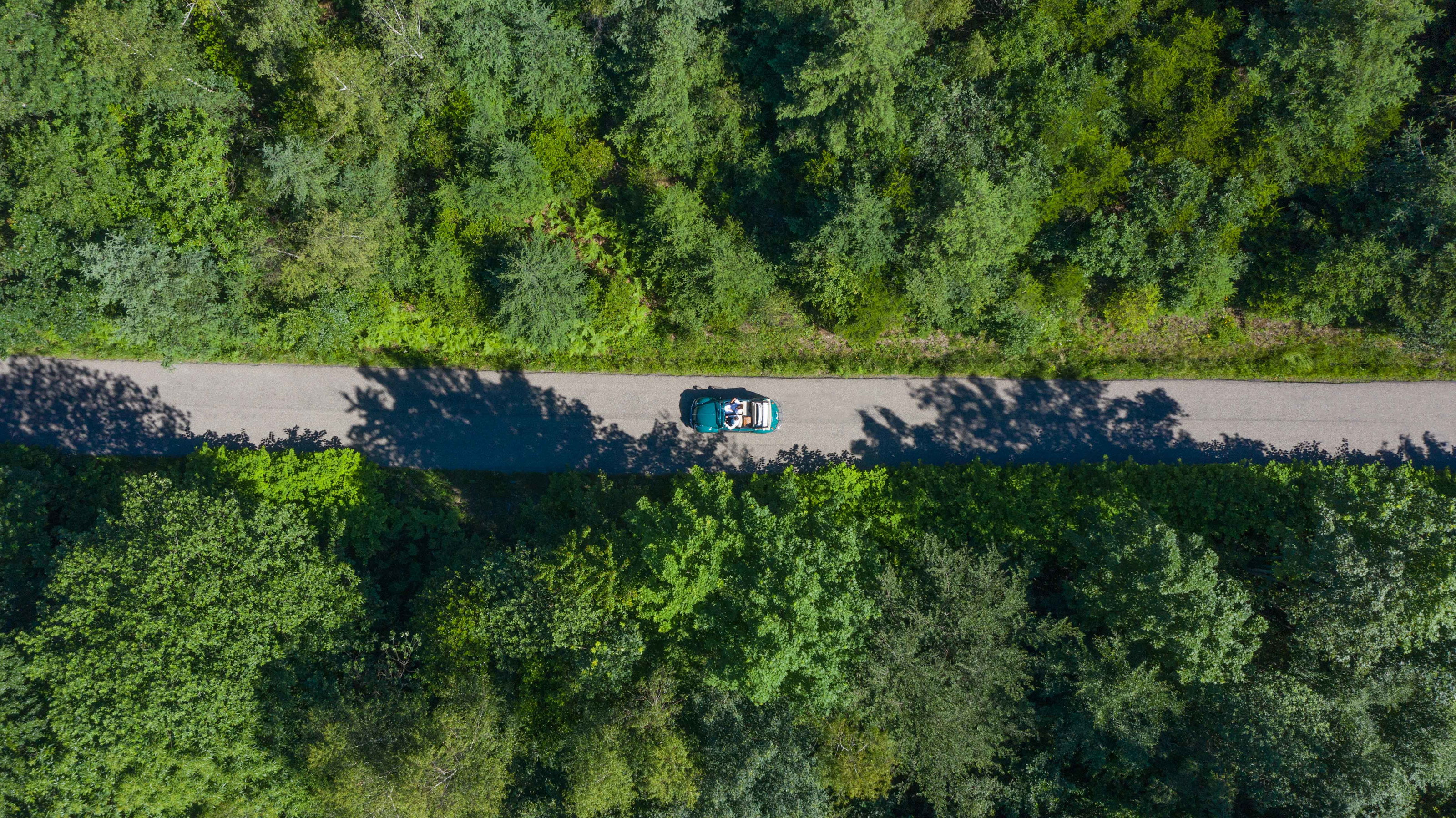 BPH - Black-Forest-Road