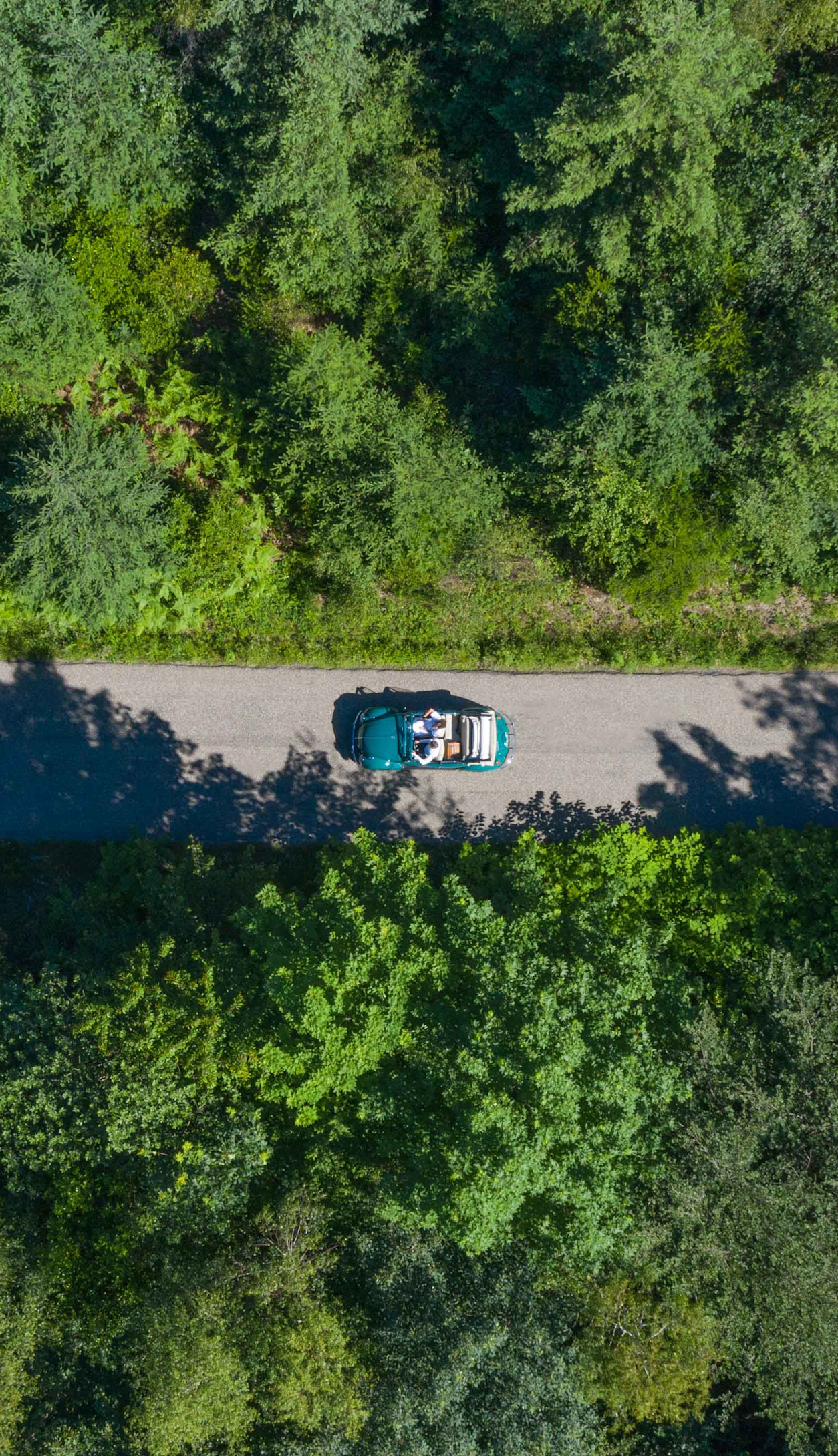 Brenners-Park-Hotel-Spa-Black-Forest-Road©Romain Reglade