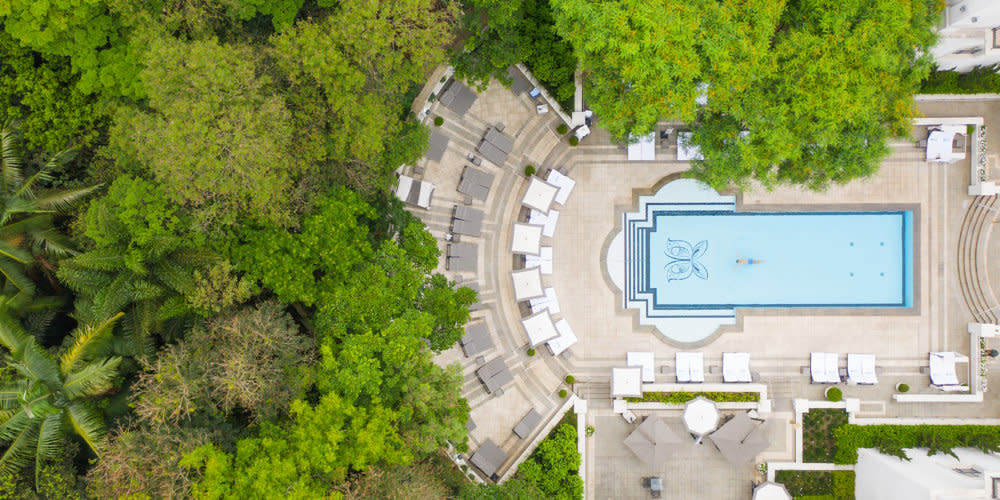 palaciotangara byrr17