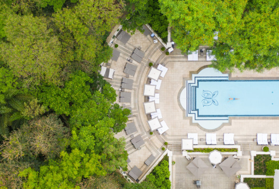 palaciotangara byrr17