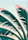 pattern-JBI