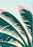 pattern-JBI