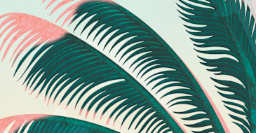 pattern-JBI