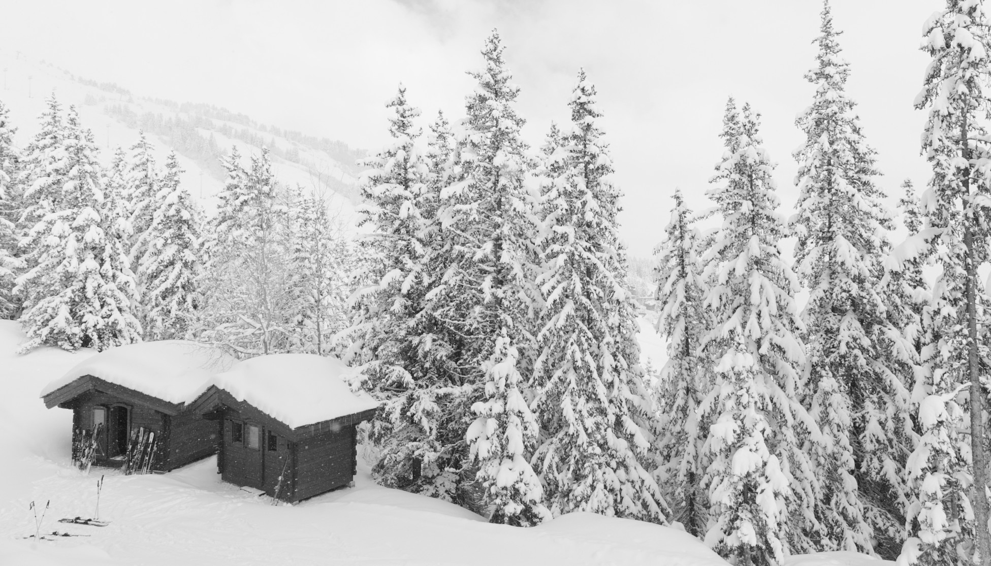 APG - Ski in Ski out black & white