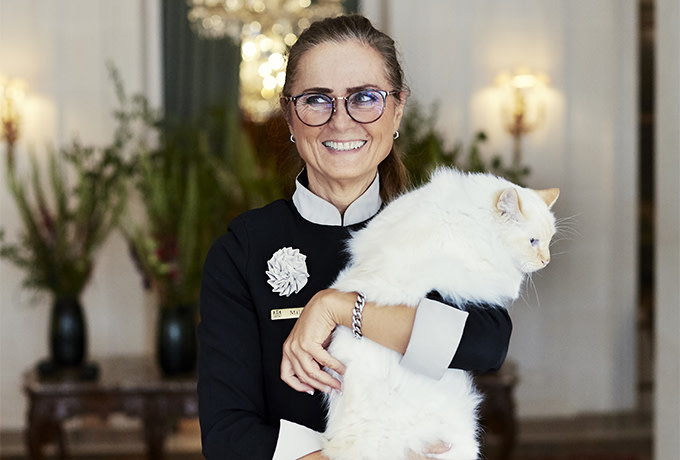 OH - Team - Cat