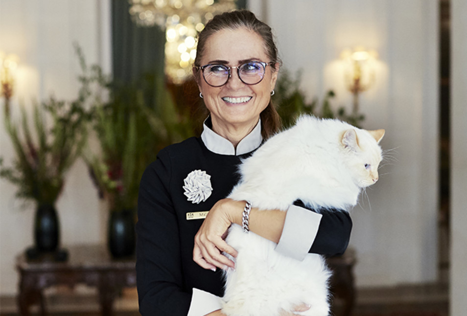 OH - Team - Cat