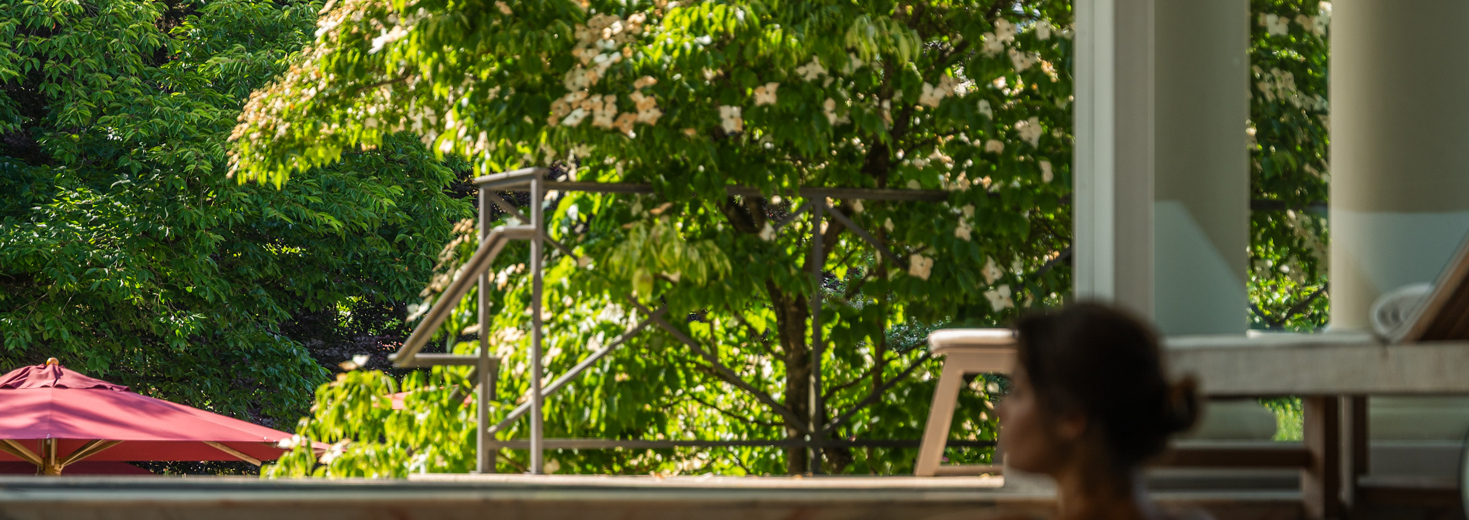 BPH - Spa & Wellness - Pool