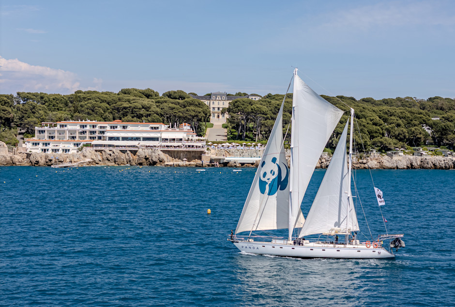 HDC - vue aérienne depuis la mer avec le blue panda