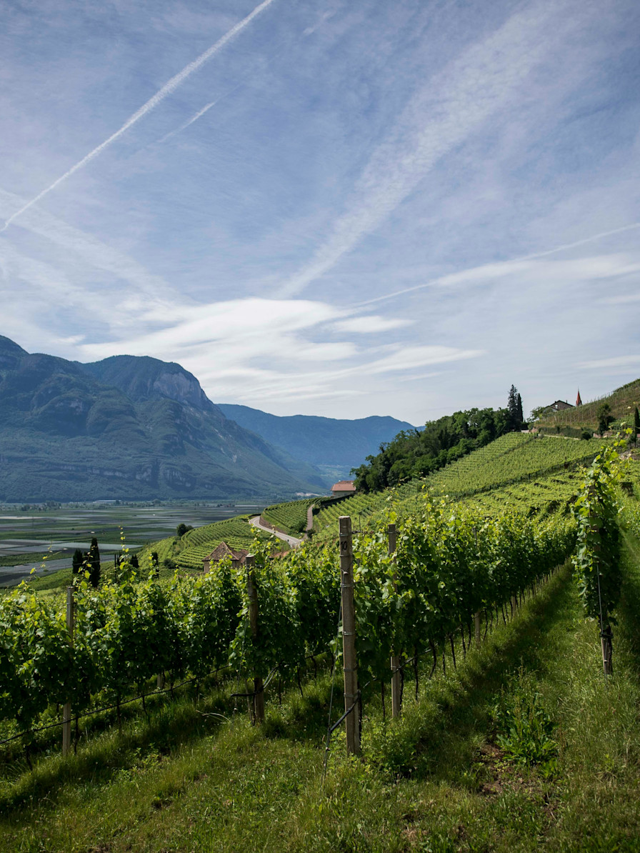 LBP - week end du sommelier barolo piémont