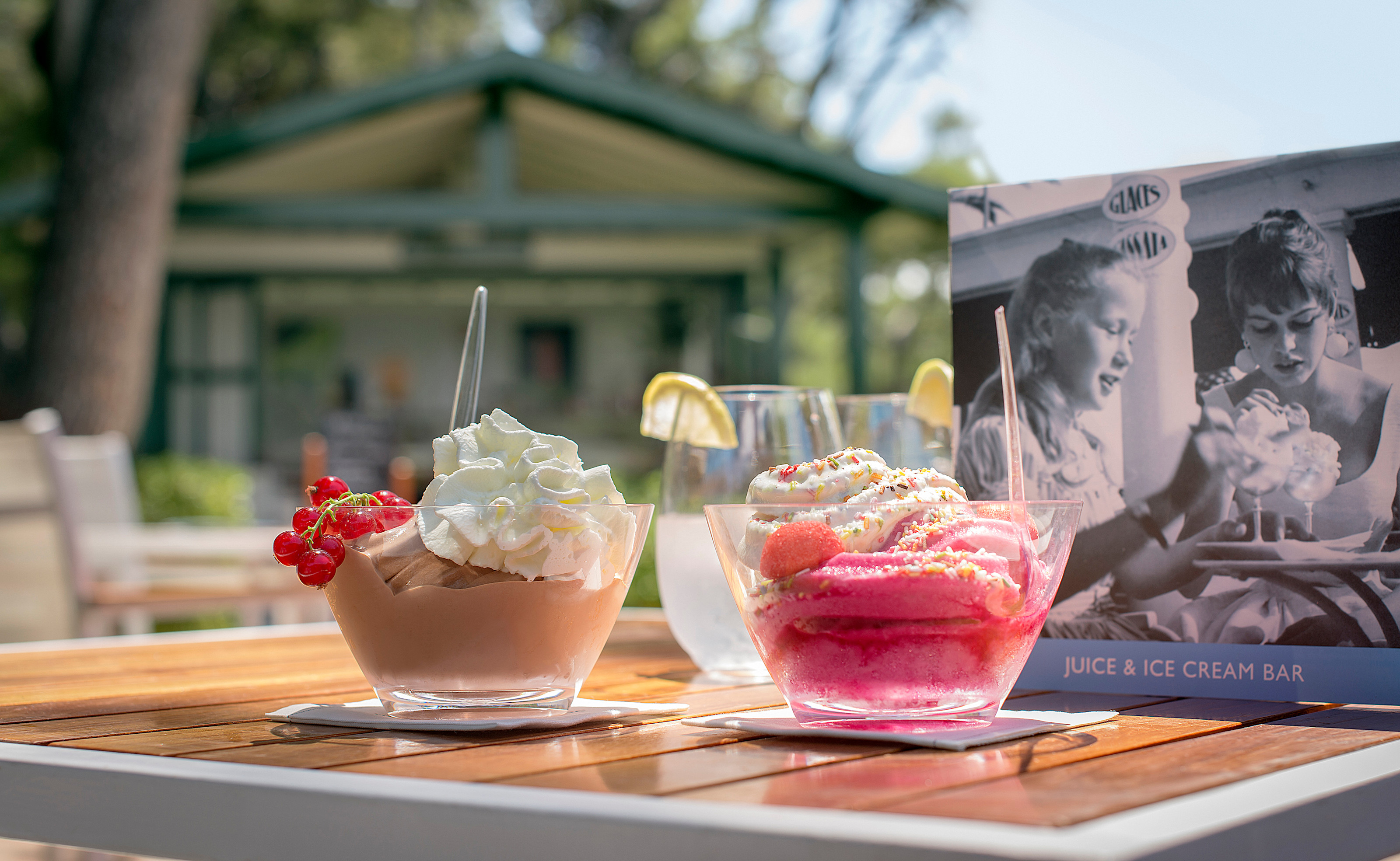 HDC - Juice & Ice Cream Bar Ice creams