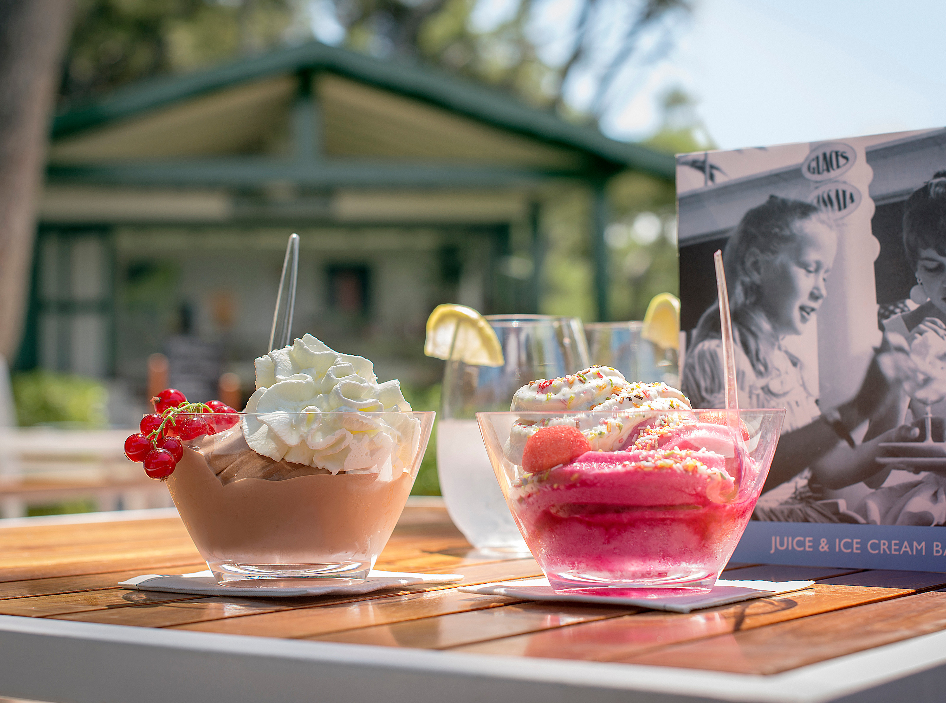 HDC - Juice & Ice Cream Bar Ice creams