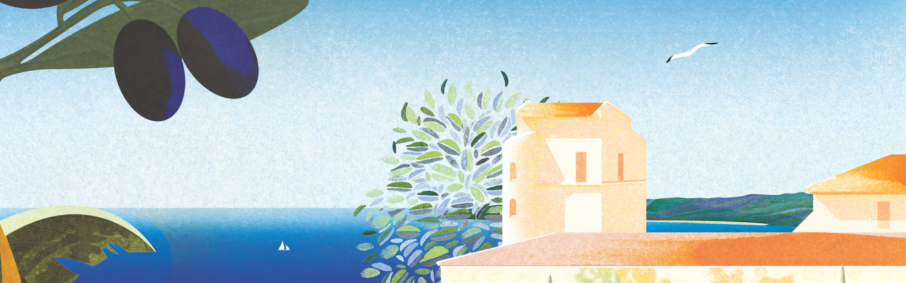 CMS - Pattern