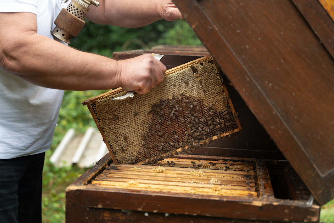 Brenners-Park-Hotel-Spa-Honig-Imker-Kolb©Andreas-Stephany(10)