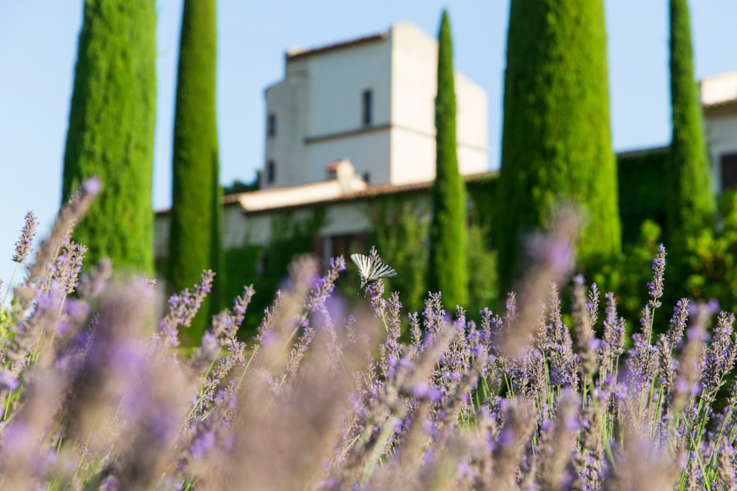CSM - Lavender and Château