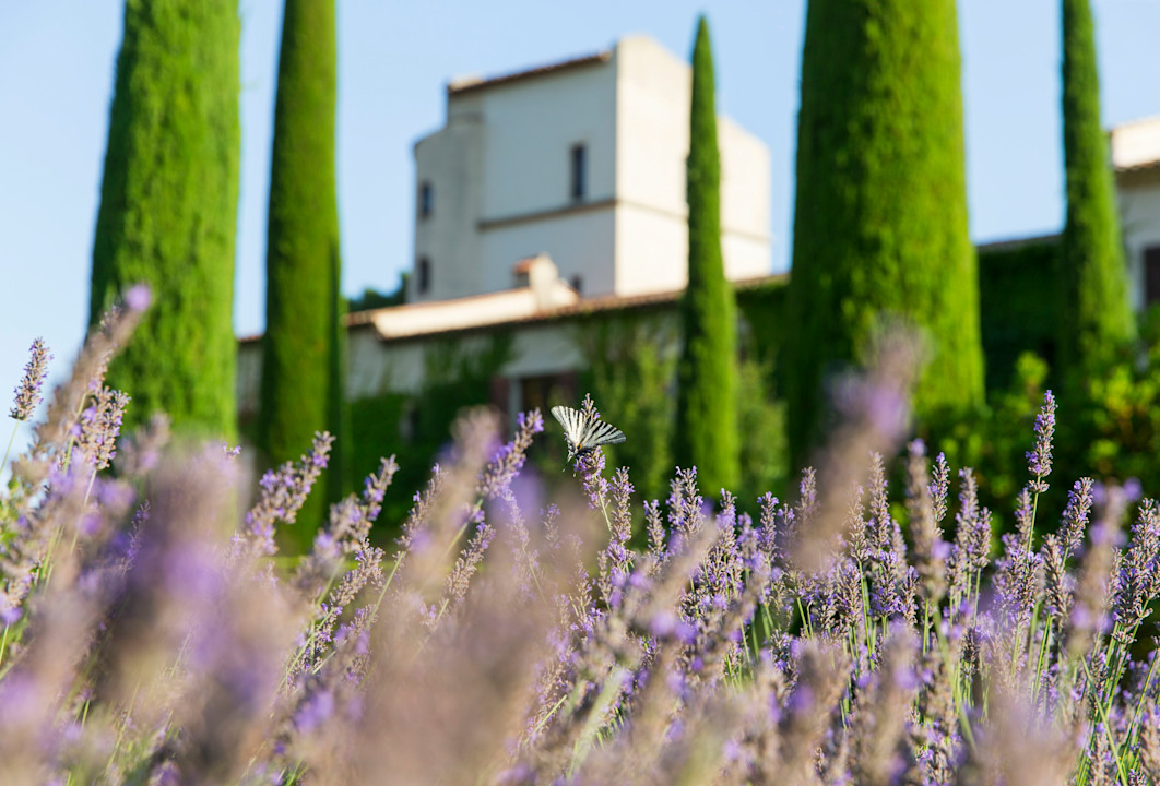 CSM - Lavender and Château