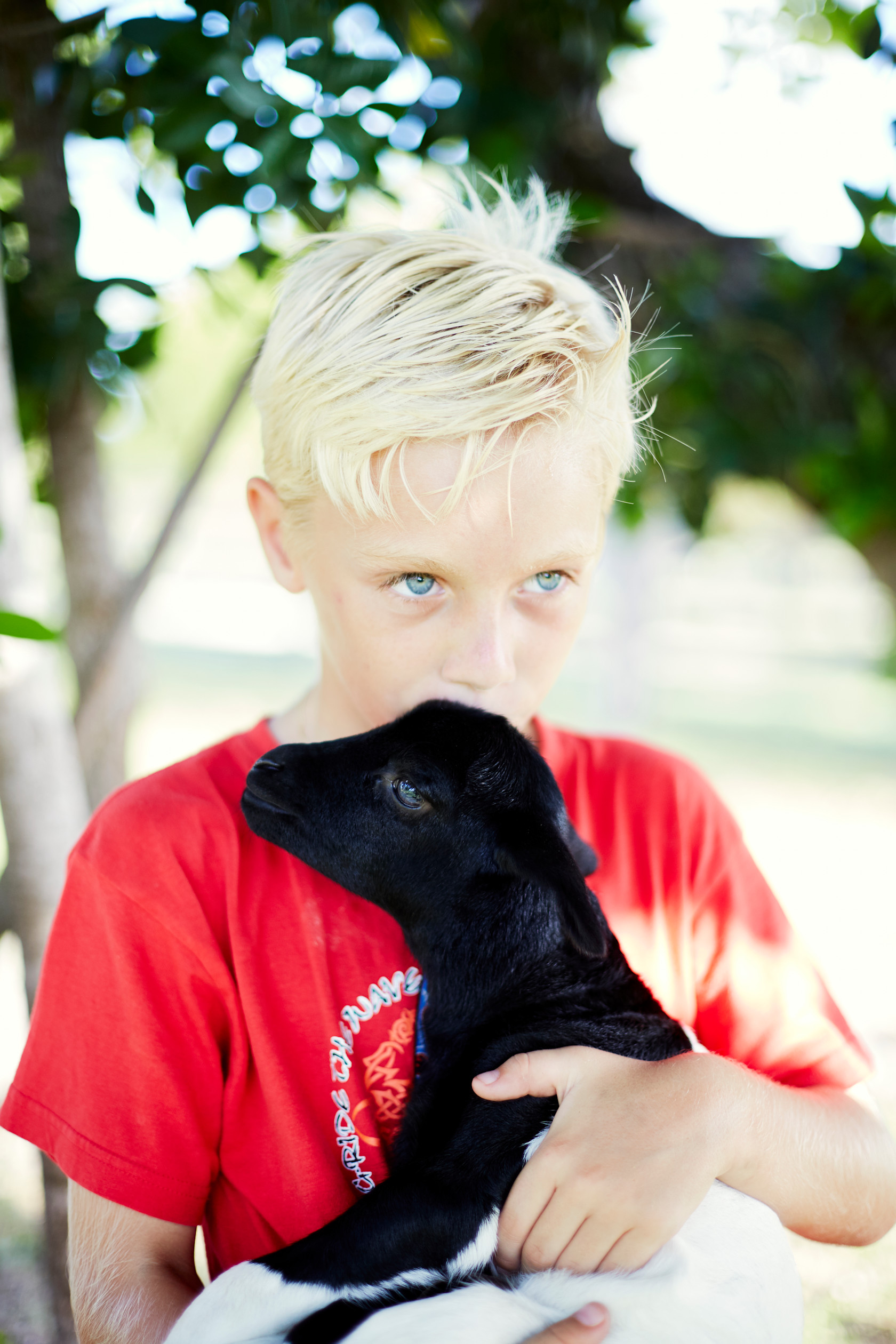 JBI - Kids & sheep - Family