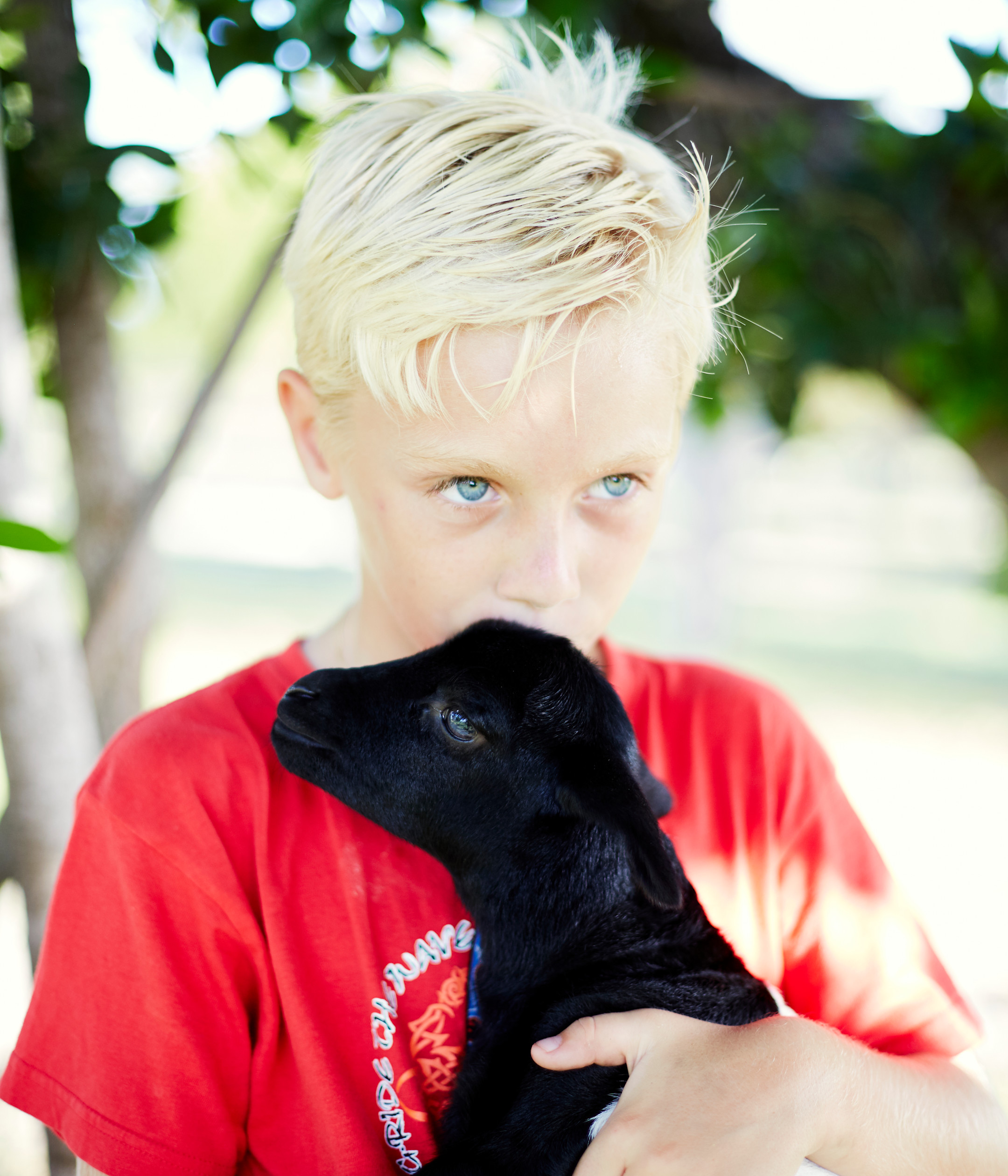 JBI - Kids & sheep - Family