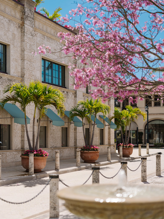 VIN - destination page - Palm Beach 