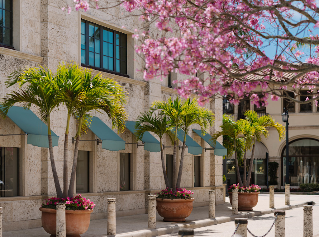 VIN - destination page - Palm Beach