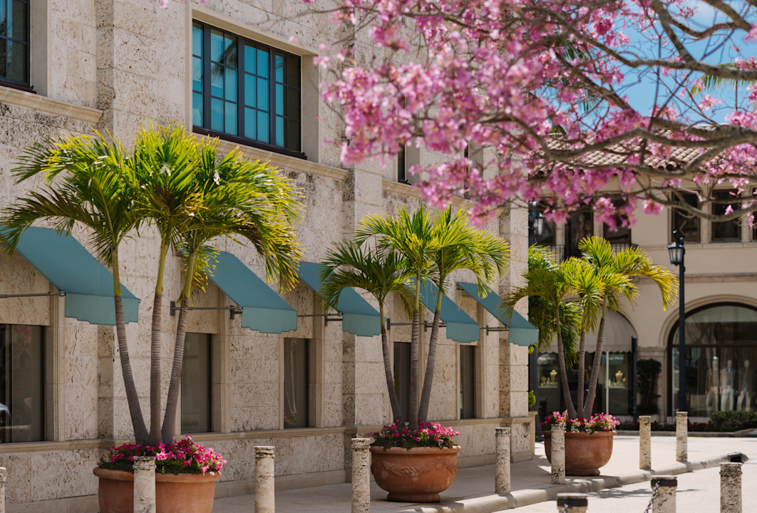 VIN - destination page - Palm Beach