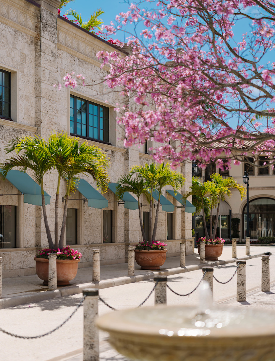 VIN - destination page - Palm Beach