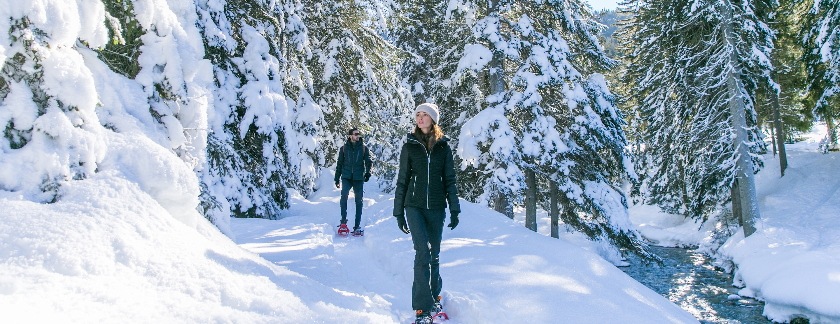 APG - Balade en raquettes