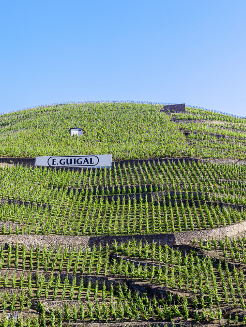 LBP - Wine Mondays - Guigal