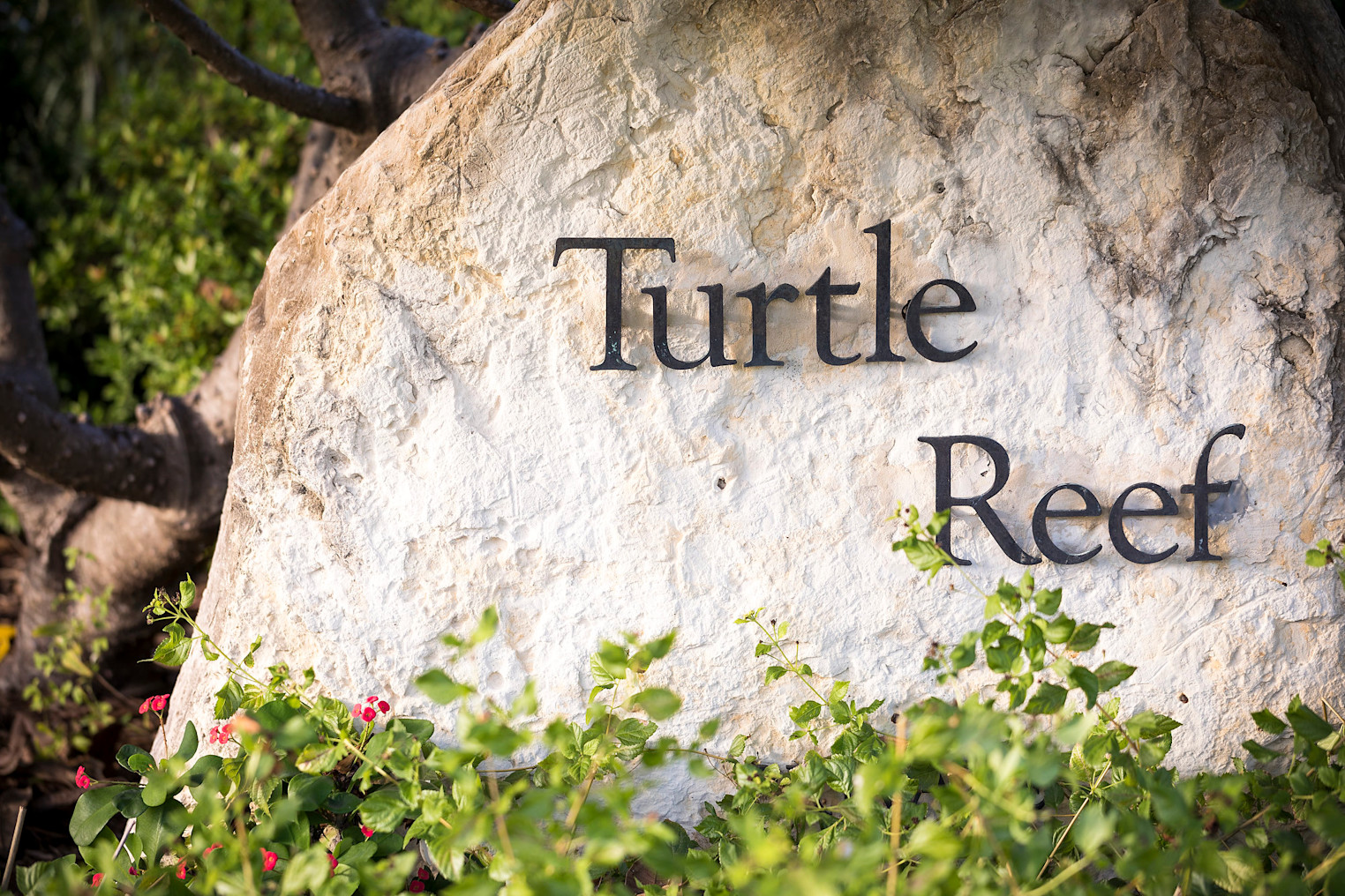 JBI-PrivateResidence-TurtleReef