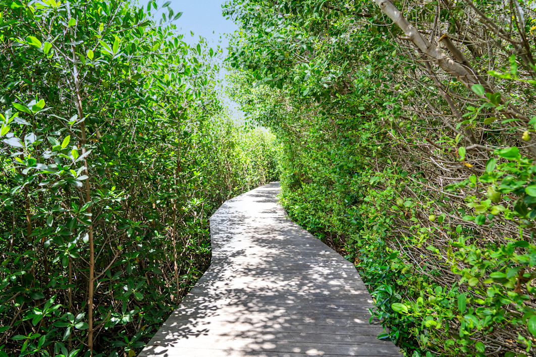 ERO - Sustainability - Eden Reef - Plants