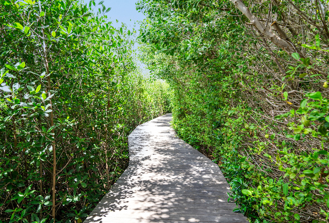 ERO - Sustainability - Eden Reef - Plants