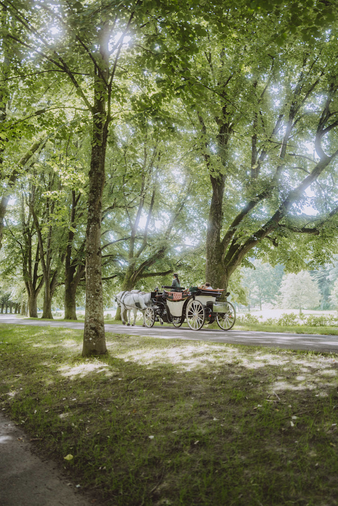 Brenners-Park-Hotel_Spa-Activities-Carriage-ride