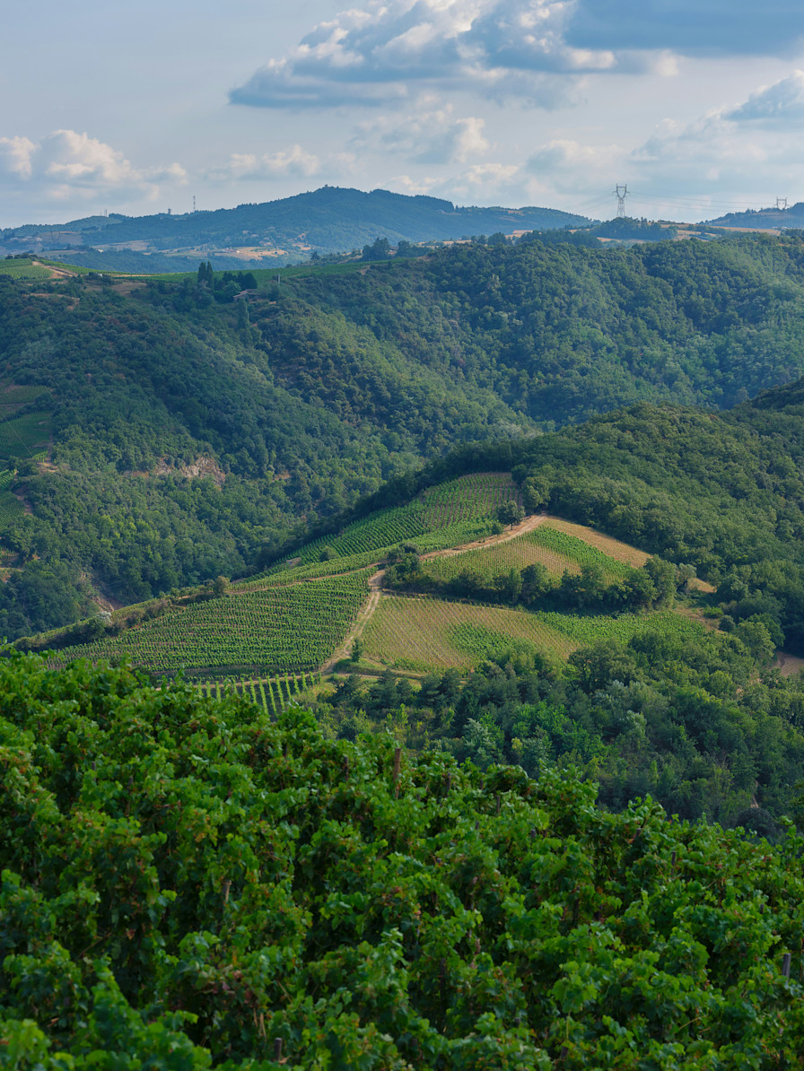 LBP - Week end du sommelier rhône