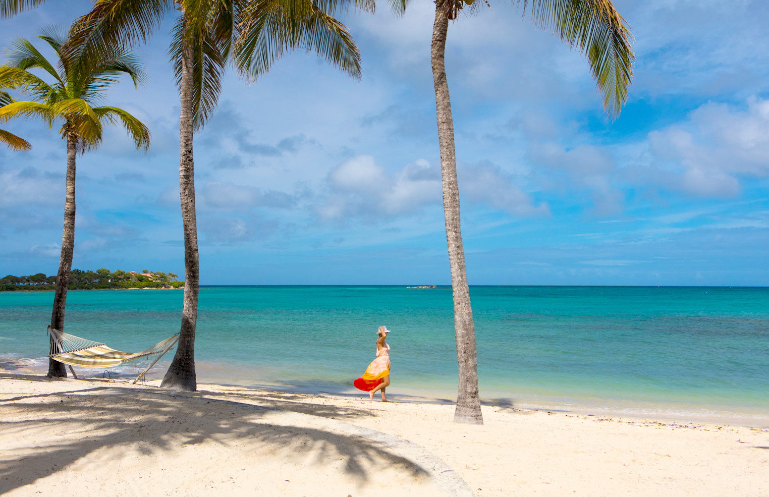 Beach - OLEANDER (4)