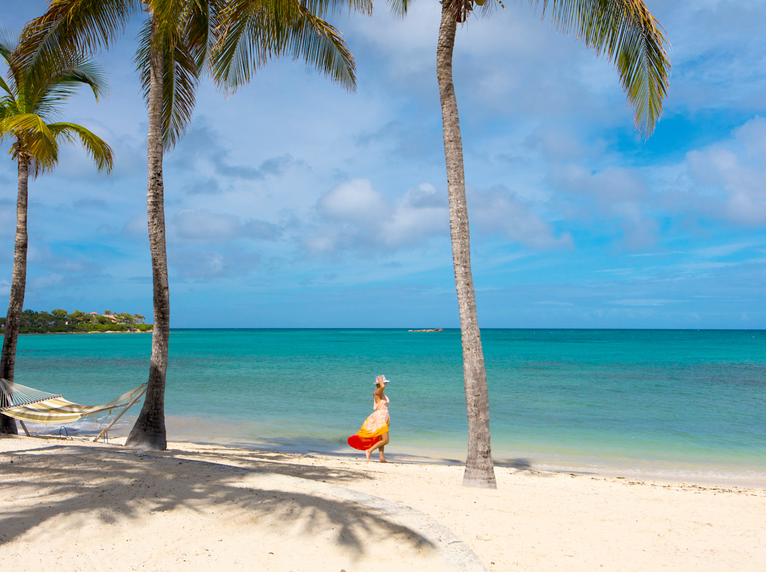 Beach - OLEANDER (4)