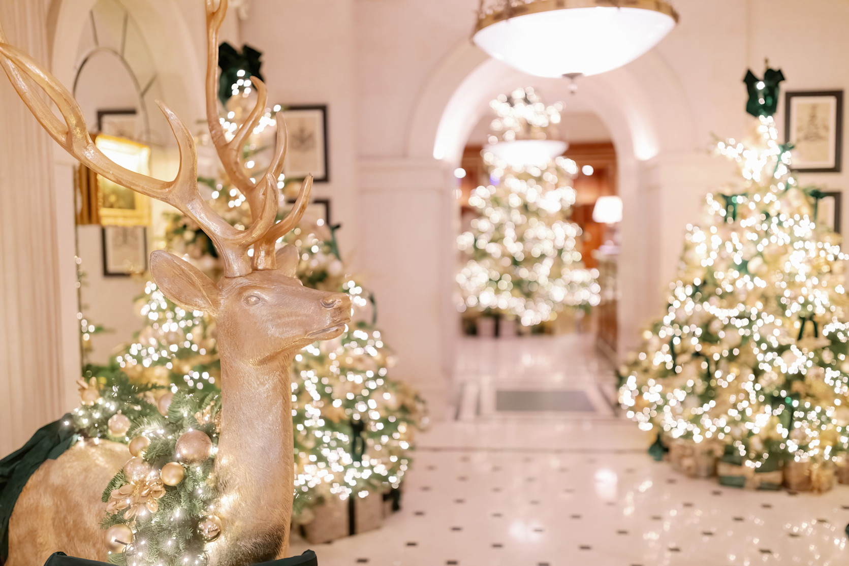 LAN - The Lanesborough Festive Season