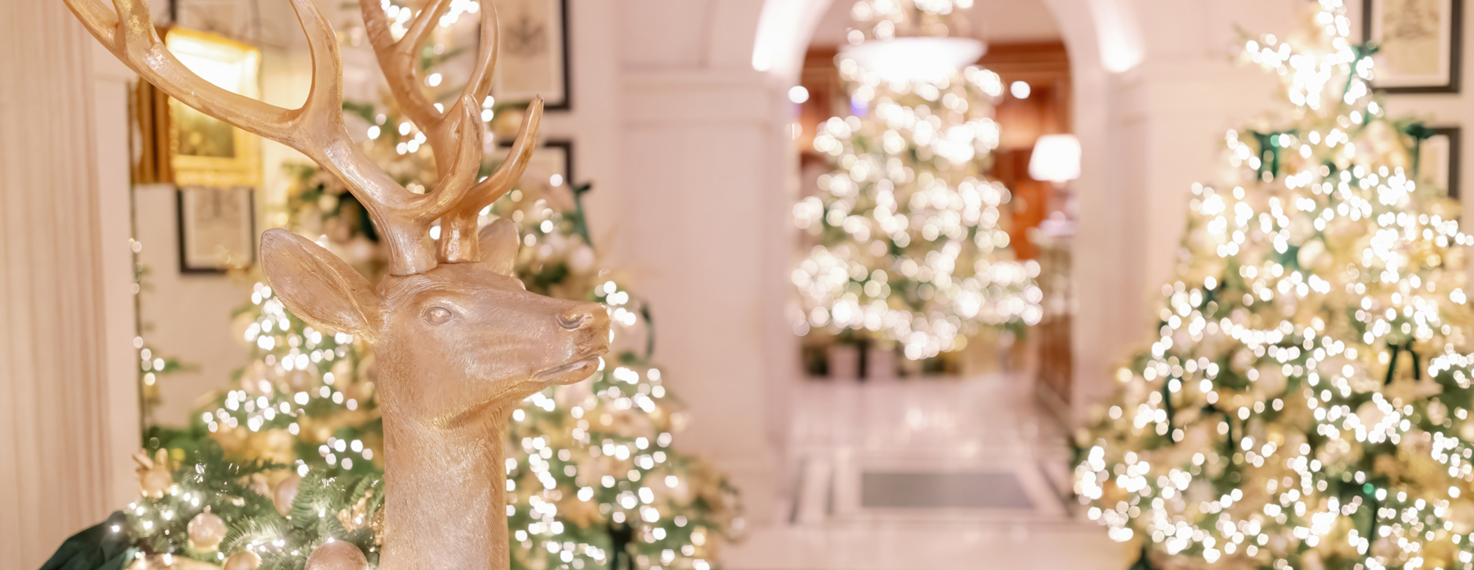 LAN - The Lanesborough Festive Season