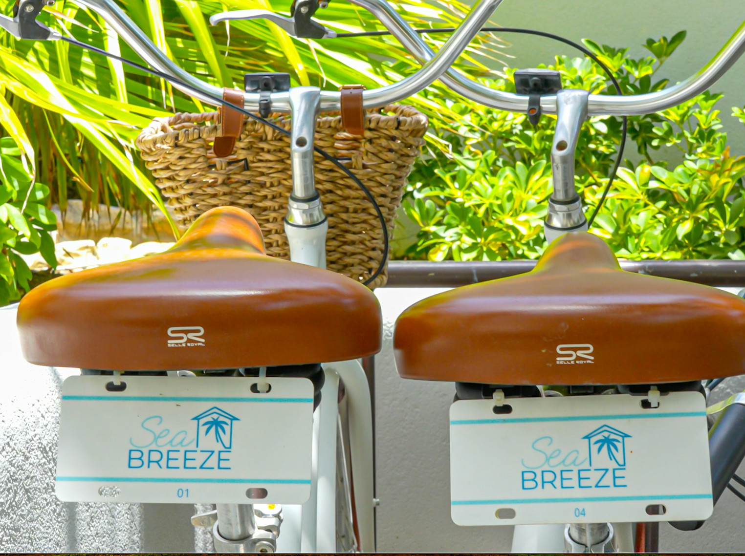 JBI - Room VSEB - Image 26