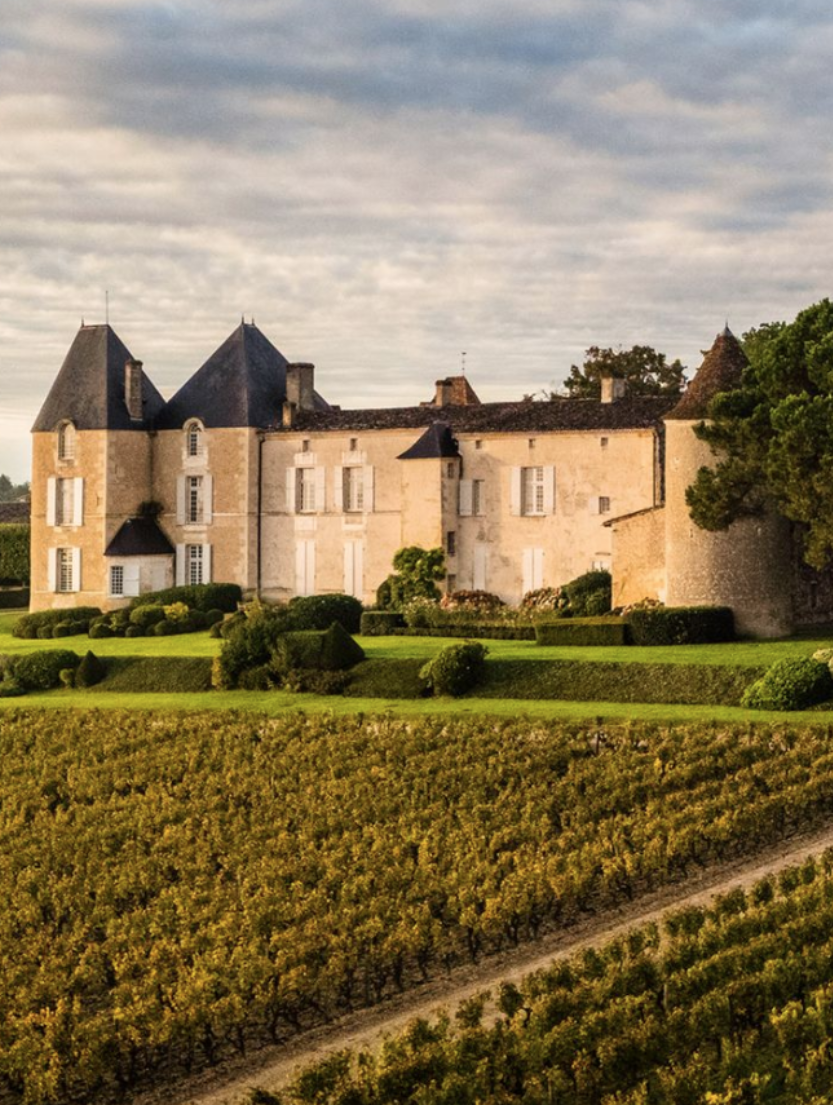 LBP - Wine Monday - Château d'Yquem