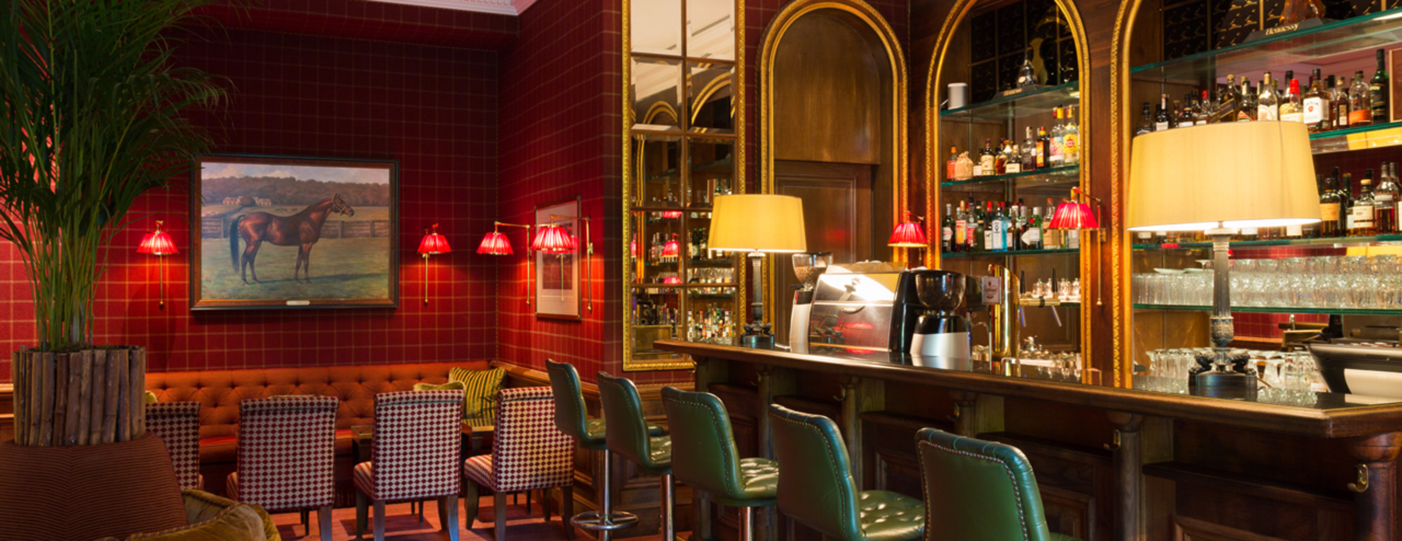 BPH - Restaurant & Bar - Oleander Bar