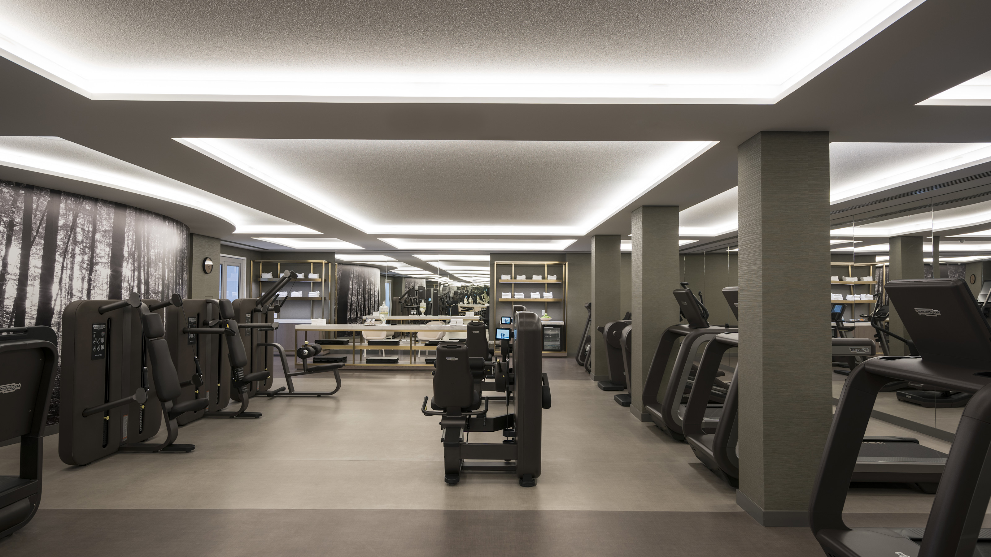 SAO - Fitness Center
