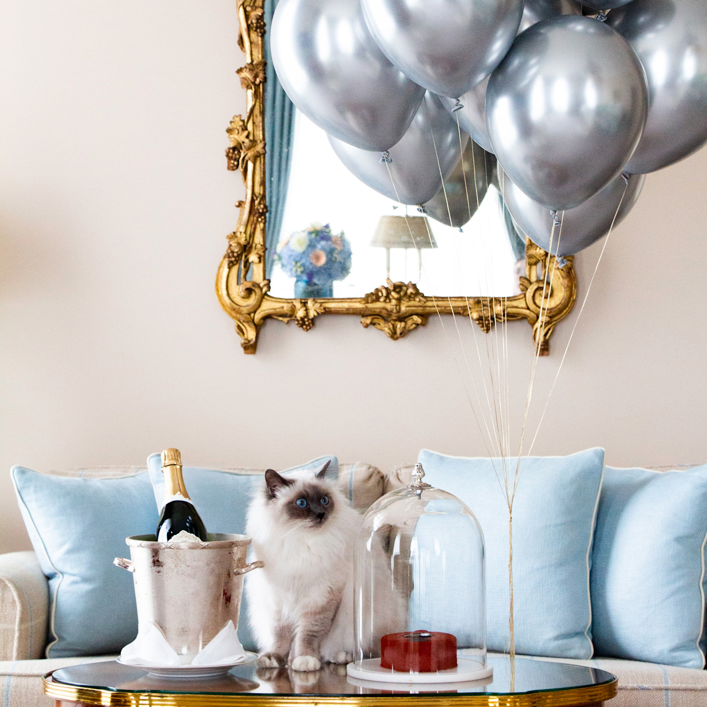 Le Bristol Paris - Socrate avec ballons