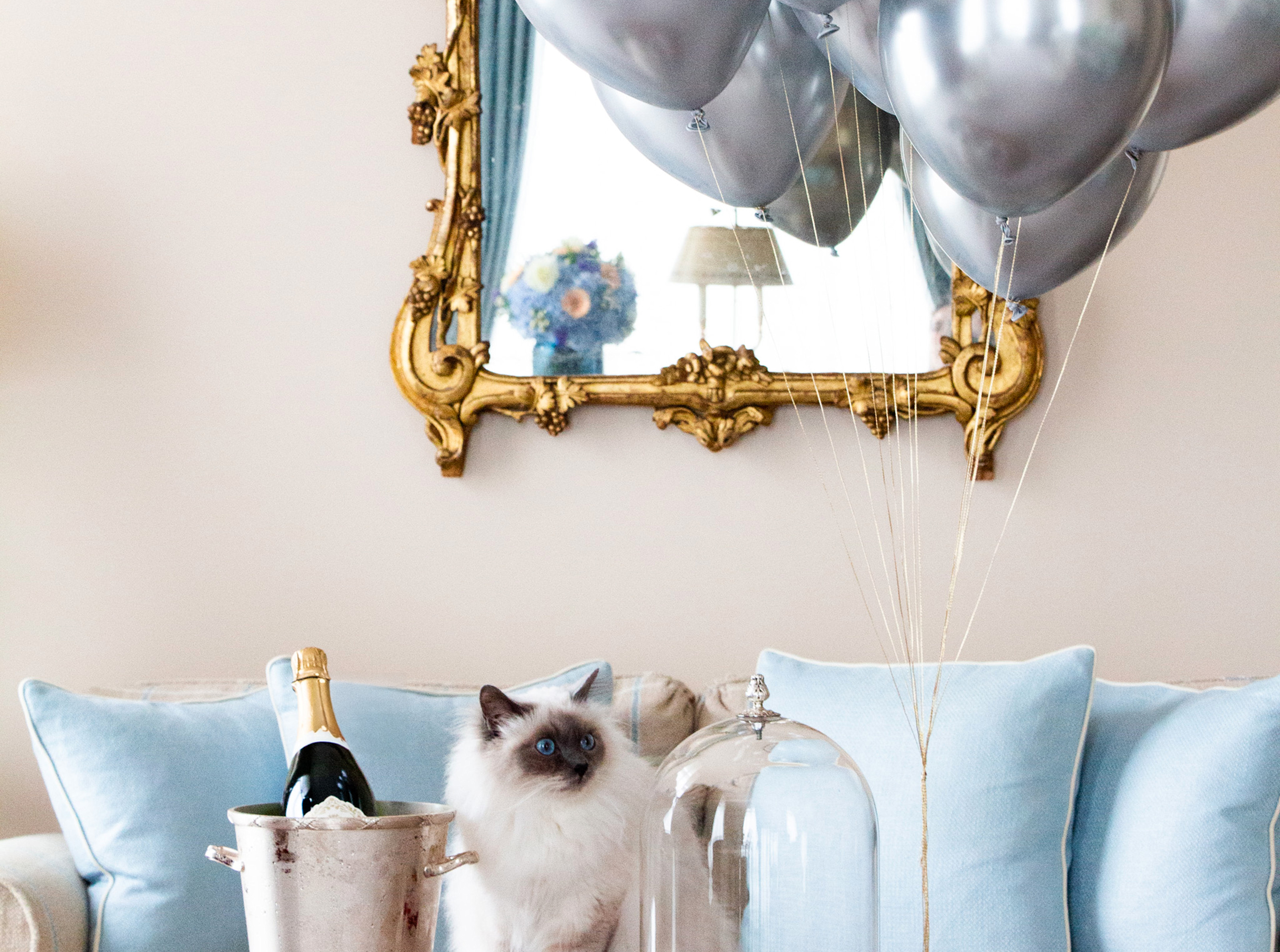 Le Bristol Paris - Socrate with balloons