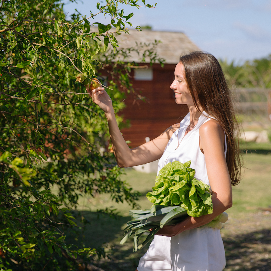 JBI - Nature - Vegetables