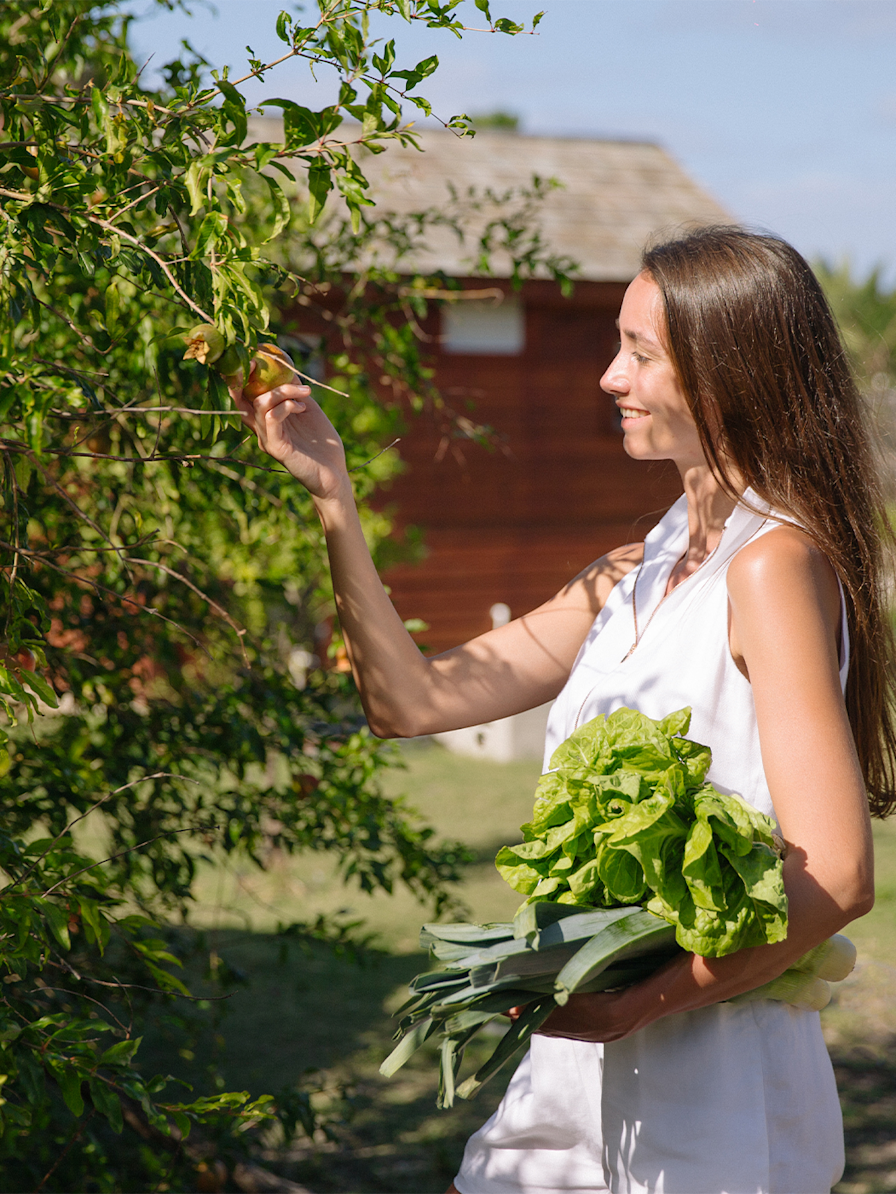JBI - Nature - Vegetables