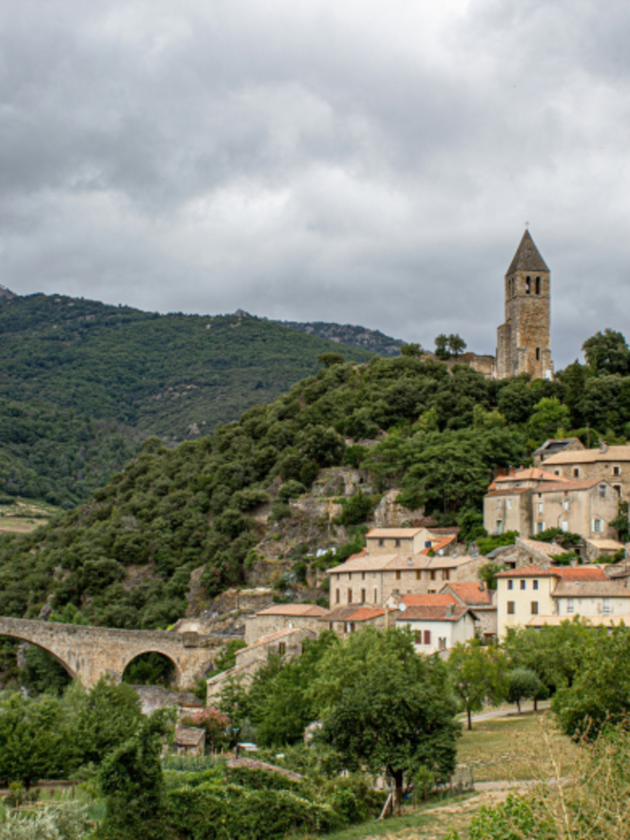 LBP - we du sommelier languedoc roussillon