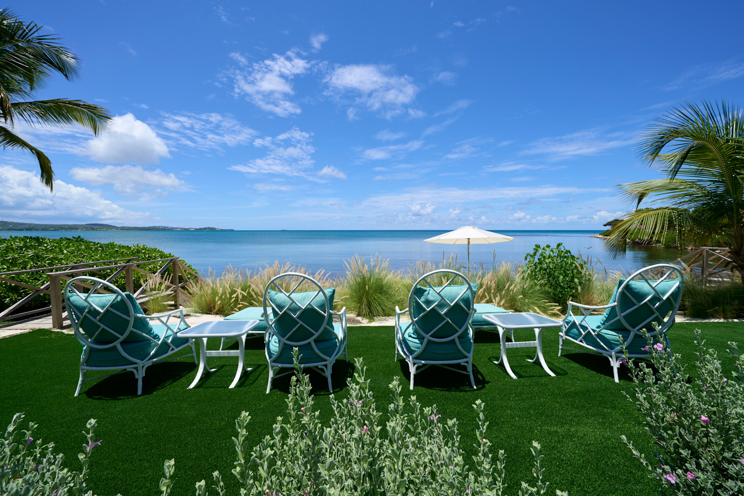 hummingbird highres 009