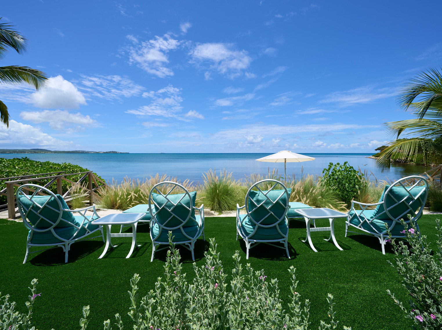 hummingbird highres 009