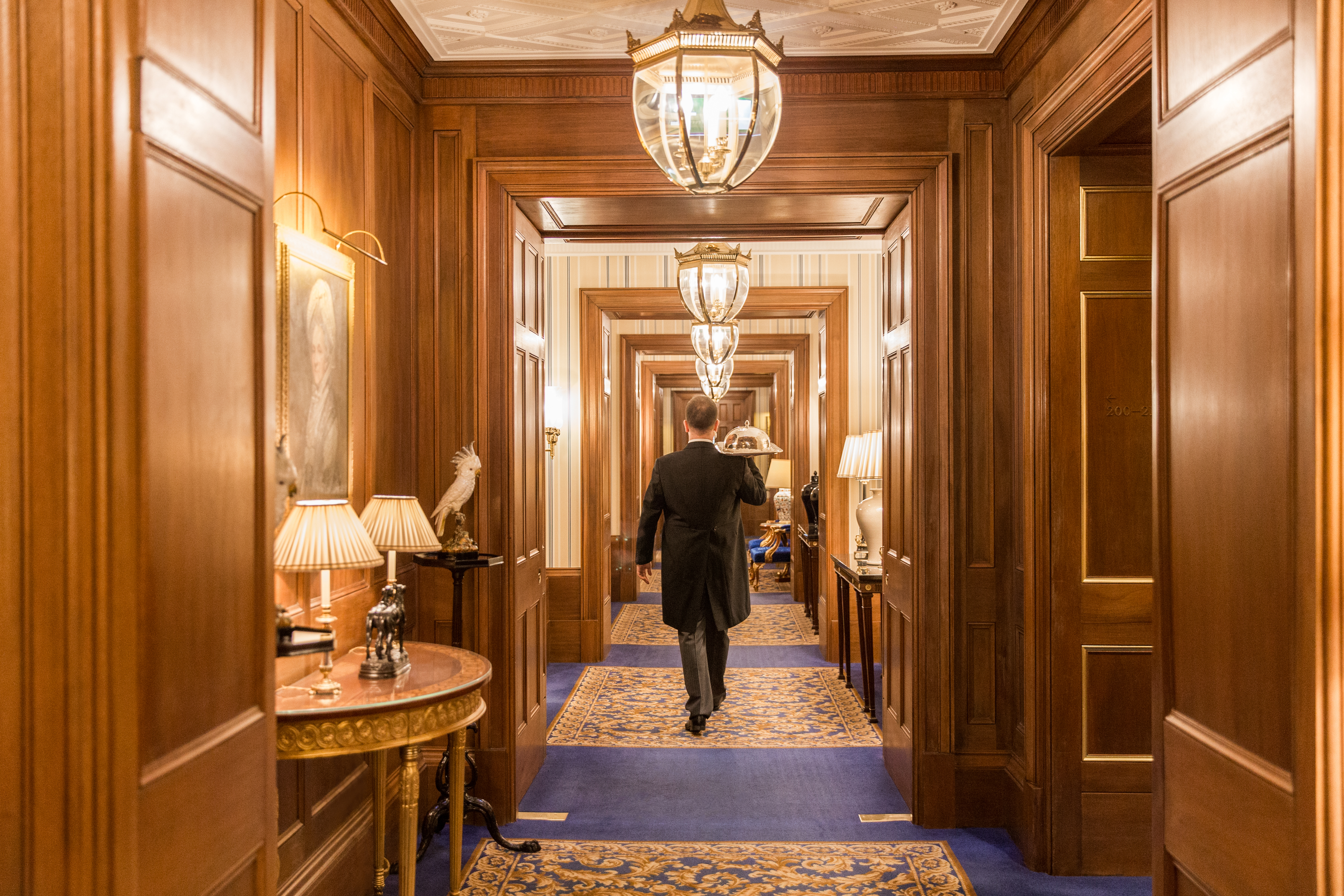 LAN - Corridor - Hotel interior
