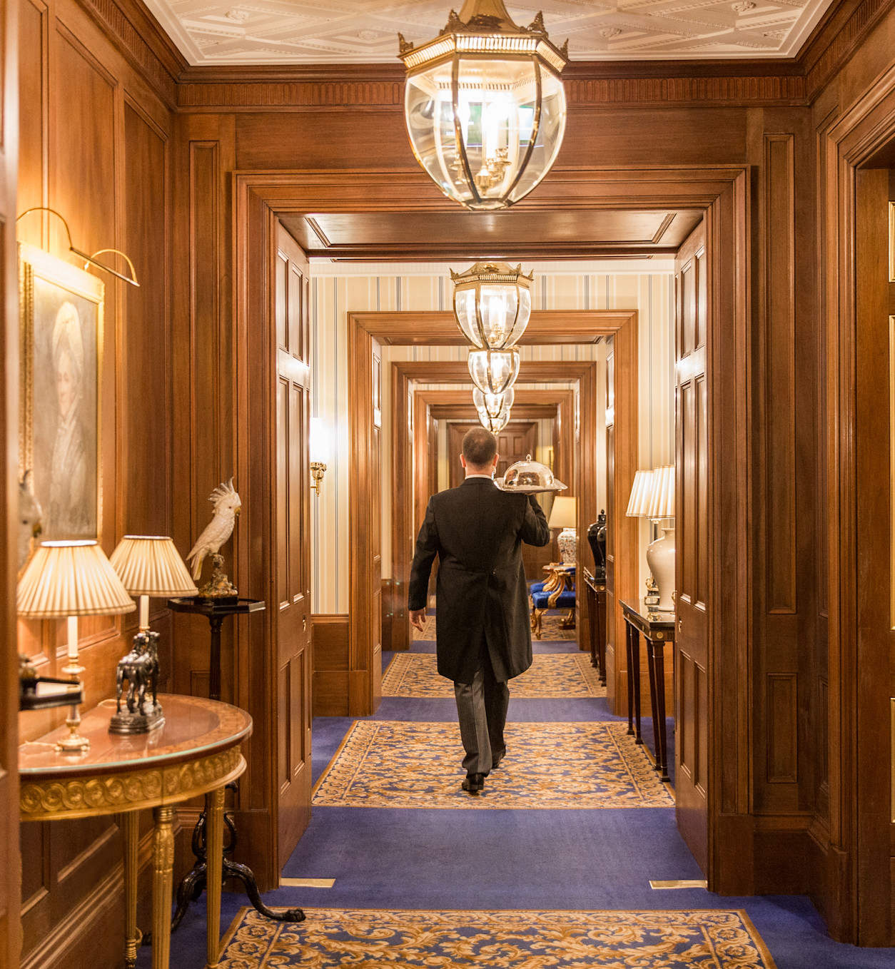 LAN - Corridor - Hotel interior
