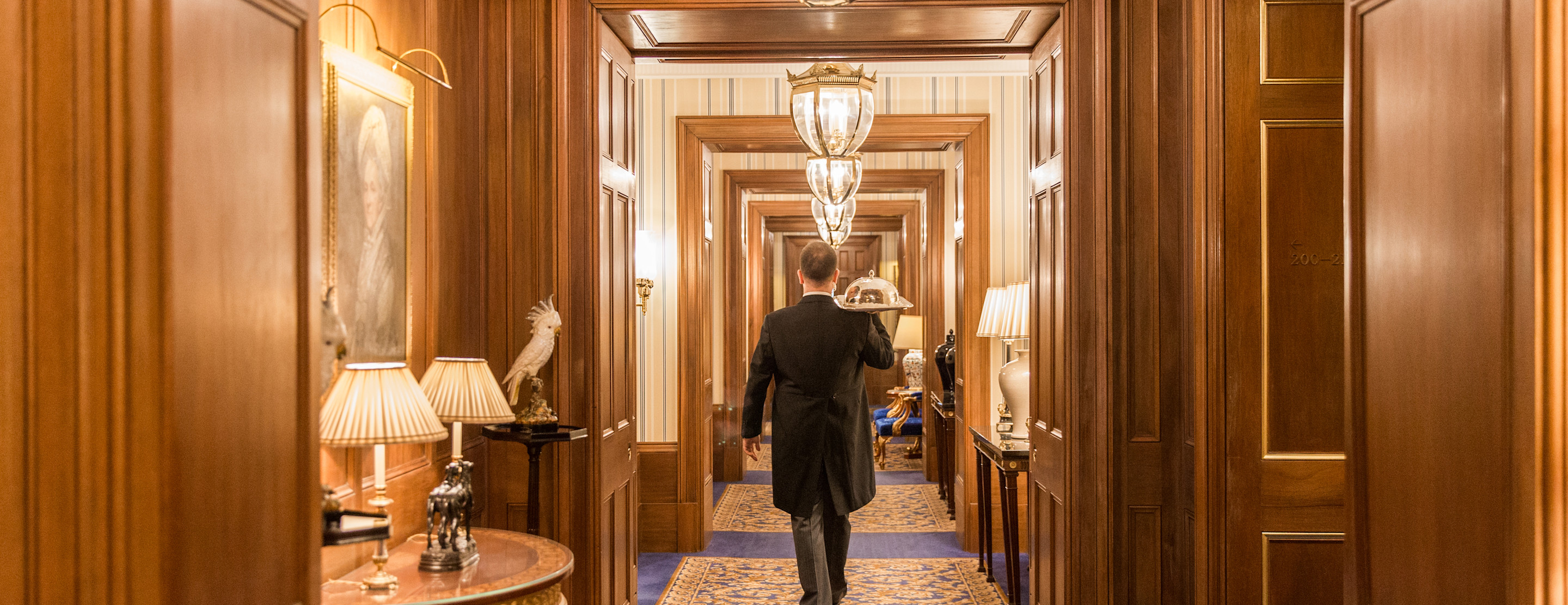 LAN - Corridor - Hotel interior